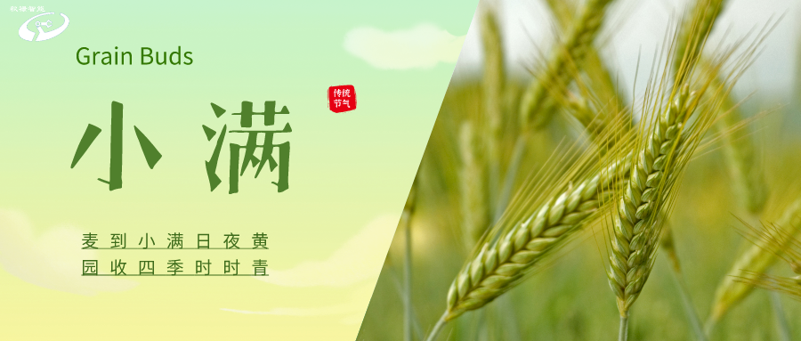节气 | 小满